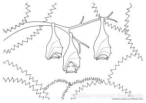 fruitbats_colouring