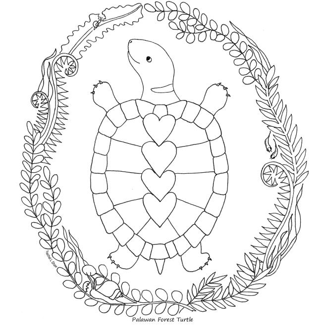 forest-turtle-colouring