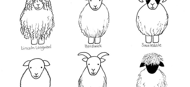 Sheep colouring page