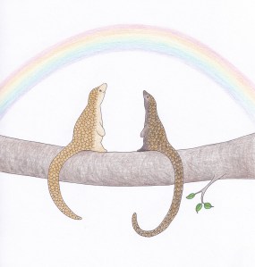 Watching rainbows with black bellied pangolin